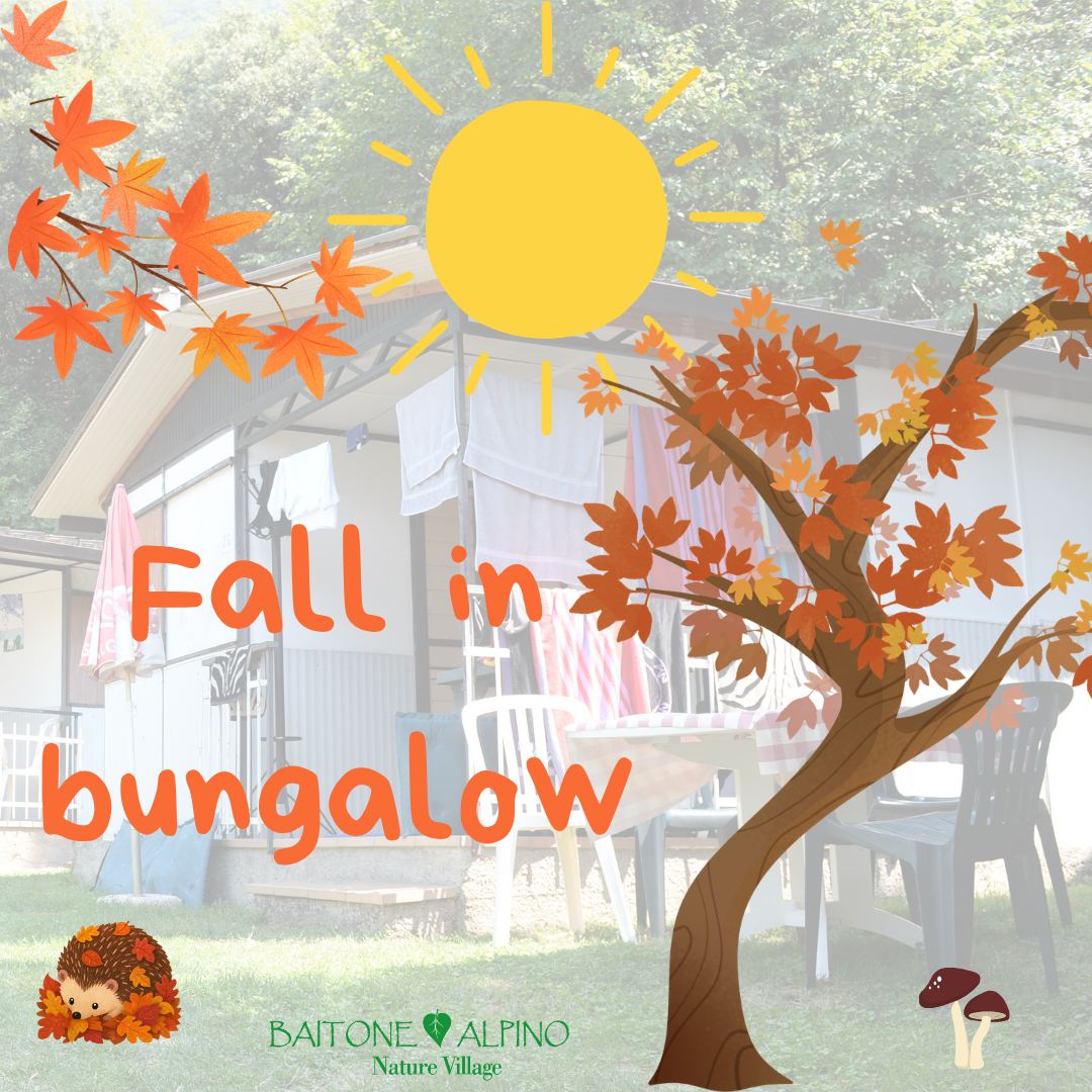 Fall in autumn